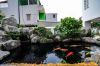 canh-quan-san-vuon-cong-trinh-2 - ảnh nhỏ 2