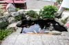 canh-quan-san-vuon-cong-trinh-2 - ảnh nhỏ 5