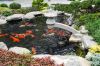 canh-quan-san-vuon-cong-trinh-9 - ảnh nhỏ 36